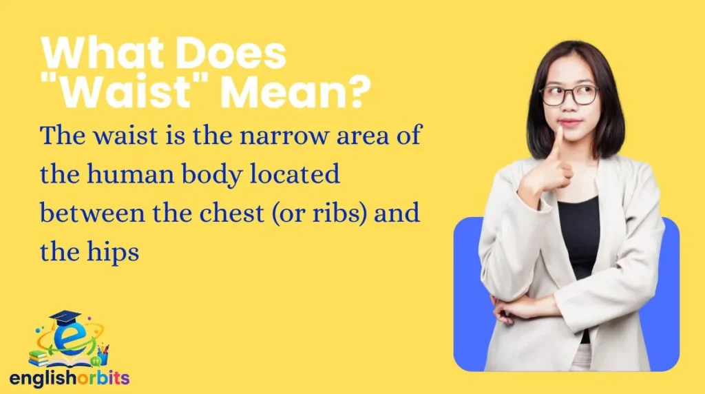 What Does "Waist" Mean?